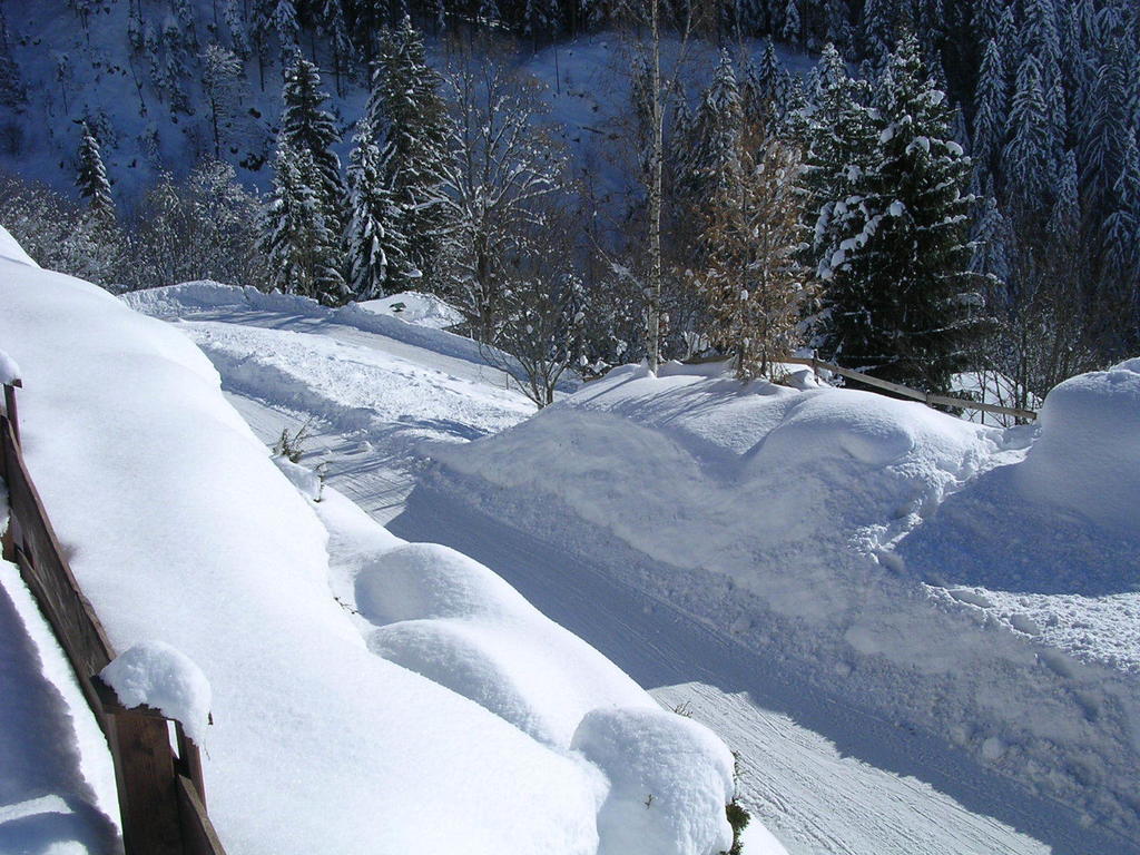Appartement Oberschernthann Hopfgarten im Brixental Luaran gambar